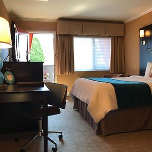 Deluxe Queen Room One Queen Bed